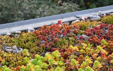 the cost of Albro Castle green roof installation