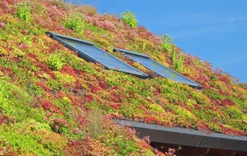 Albro Castle living roof systems